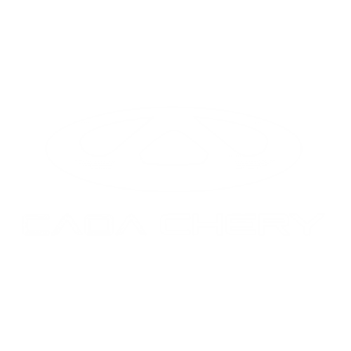 Logo Caoa Chery